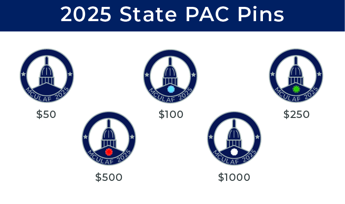 2025 State PAC Lapel Pin  Options