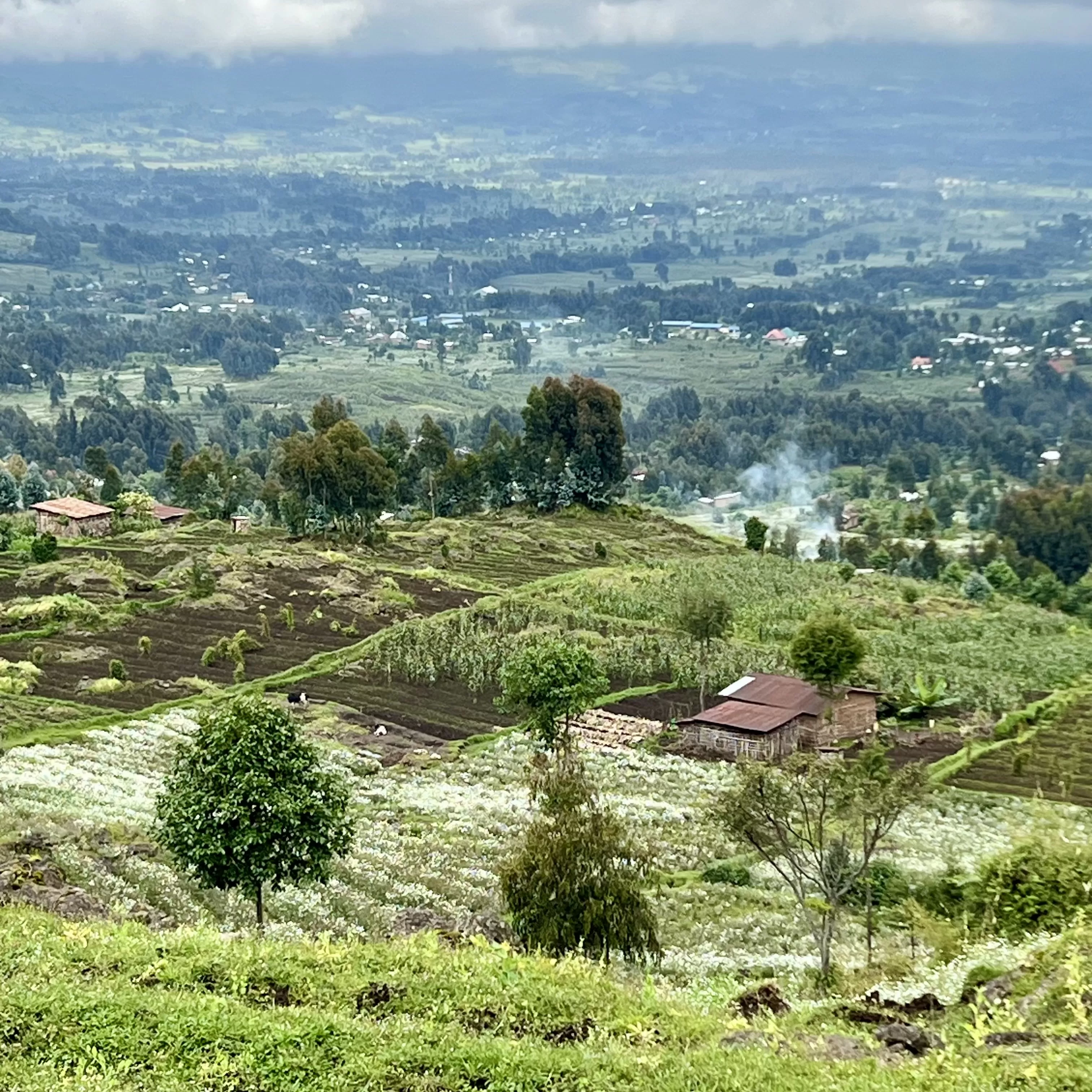 village in distance